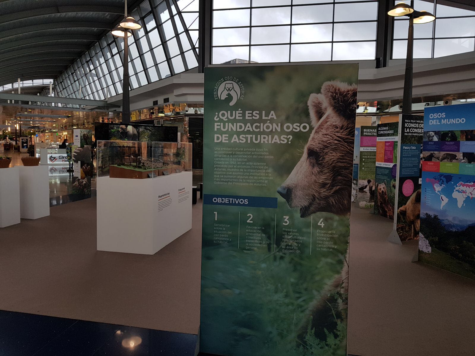 Unos 1.300 escolares visitan la exposición 'Sigue la huella del oso' en Intu Asturias